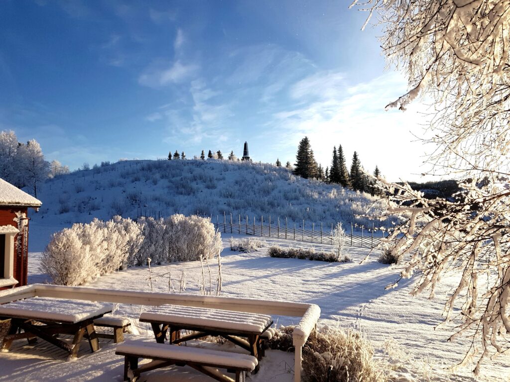 Millestgården utsikt - 2024